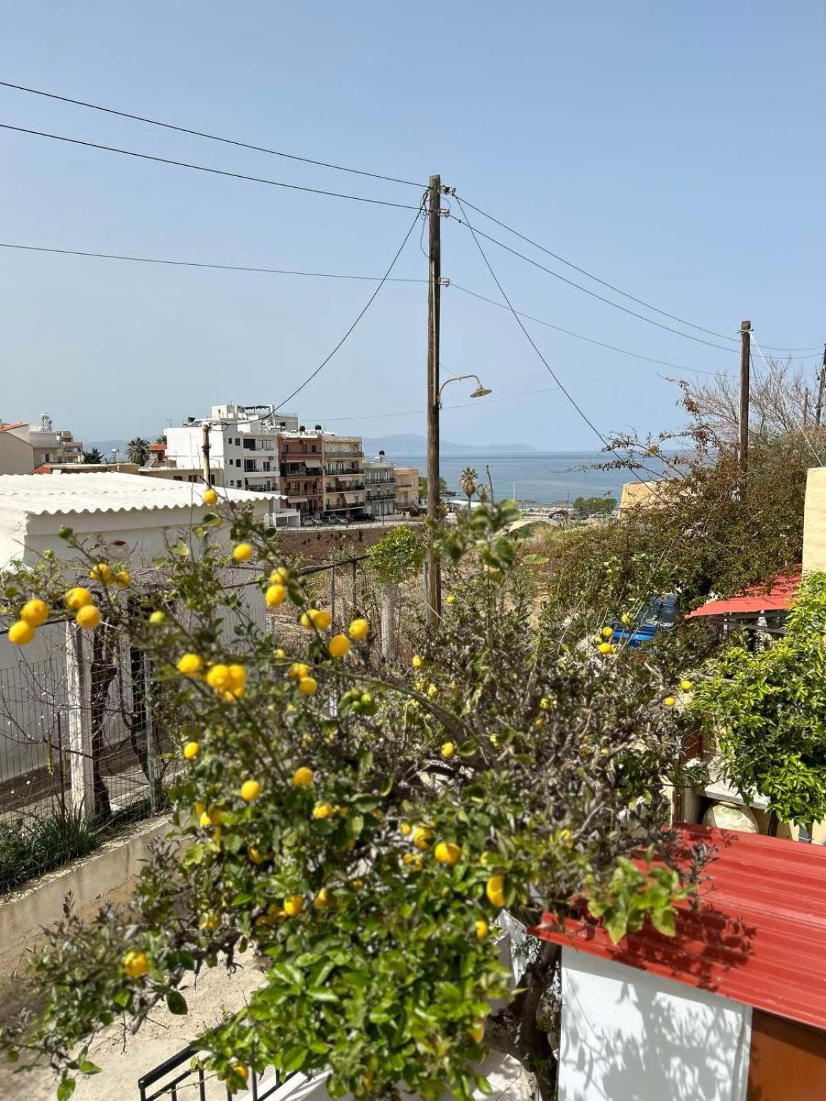 Sofias Home Chania  ภายนอก รูปภาพ